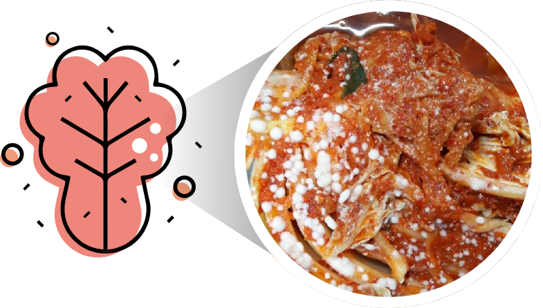 김치 확대 샷